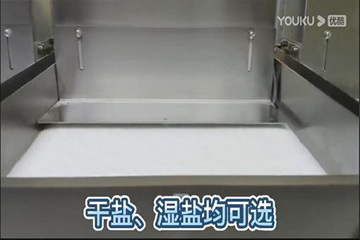 多品种盐用色选机