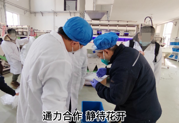 通力合作  静待花开