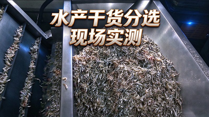 水产干货分选现场实测