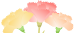 640 (2).png